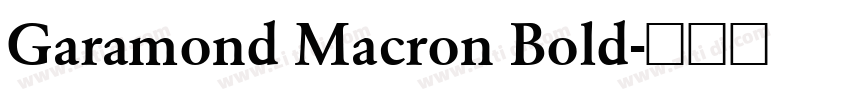 Garamond Macron Bold字体转换